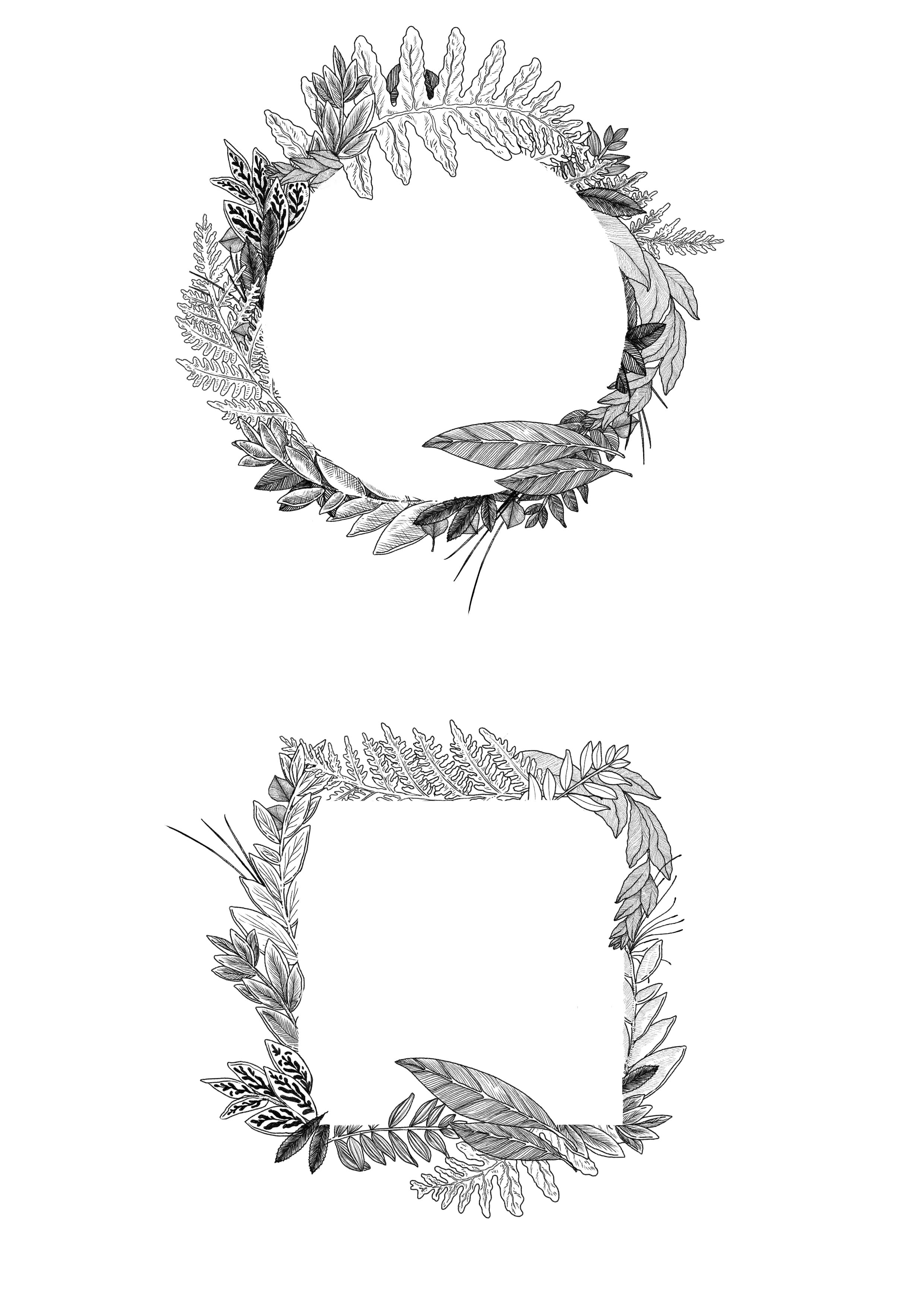 詳細な植物の葉と花で構成された、複数の円形と楕円形の装飾的な枠。細い線画で描かれている。