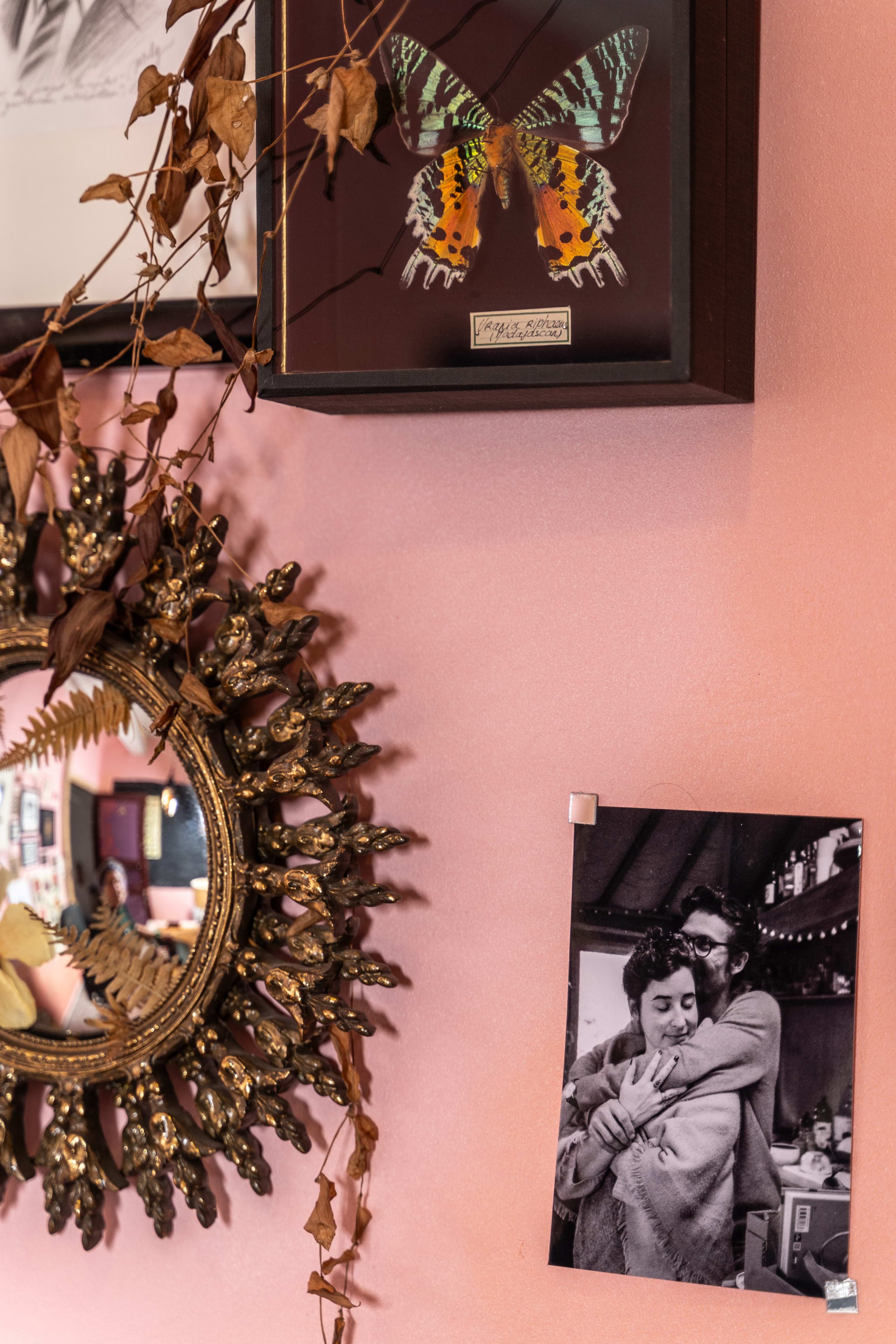 蝶のイラストと額縁の鏡で飾られたスタジオの壁。ギャラリースタイル