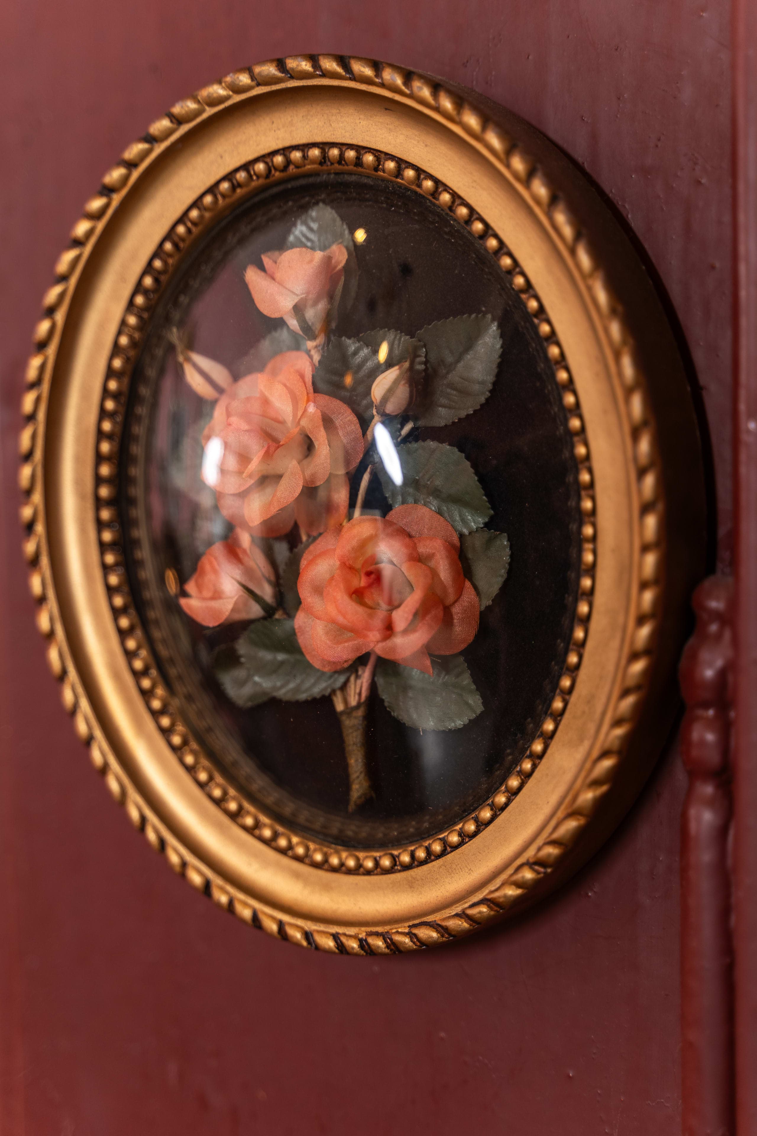 ガラス下に保護されたボタニカルイラスト。ギルト枠に入ったギャラリーピース